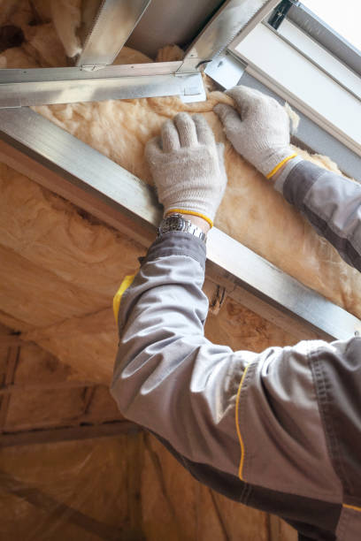 Best Cellulose Insulation in Trumann, AR
